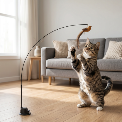 Lifestyle: Fågelbågen med katt