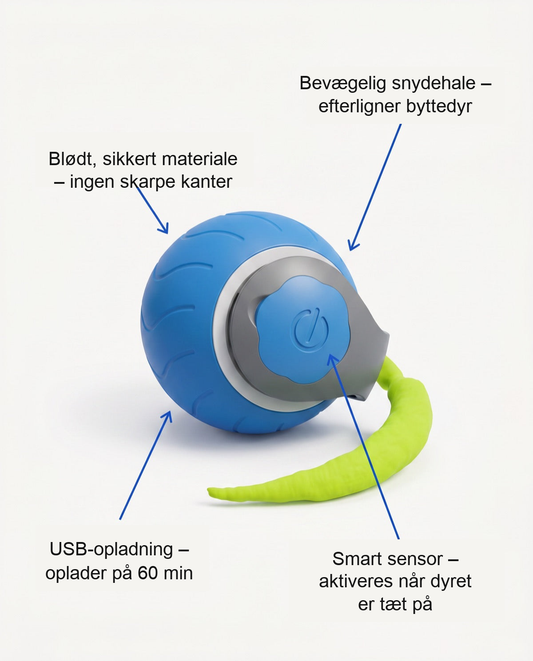 Zvarelo — Kattelegetøjet, der bevæger sig af sig selv og vækker jagtinstinktet, uden at du behøver at være med