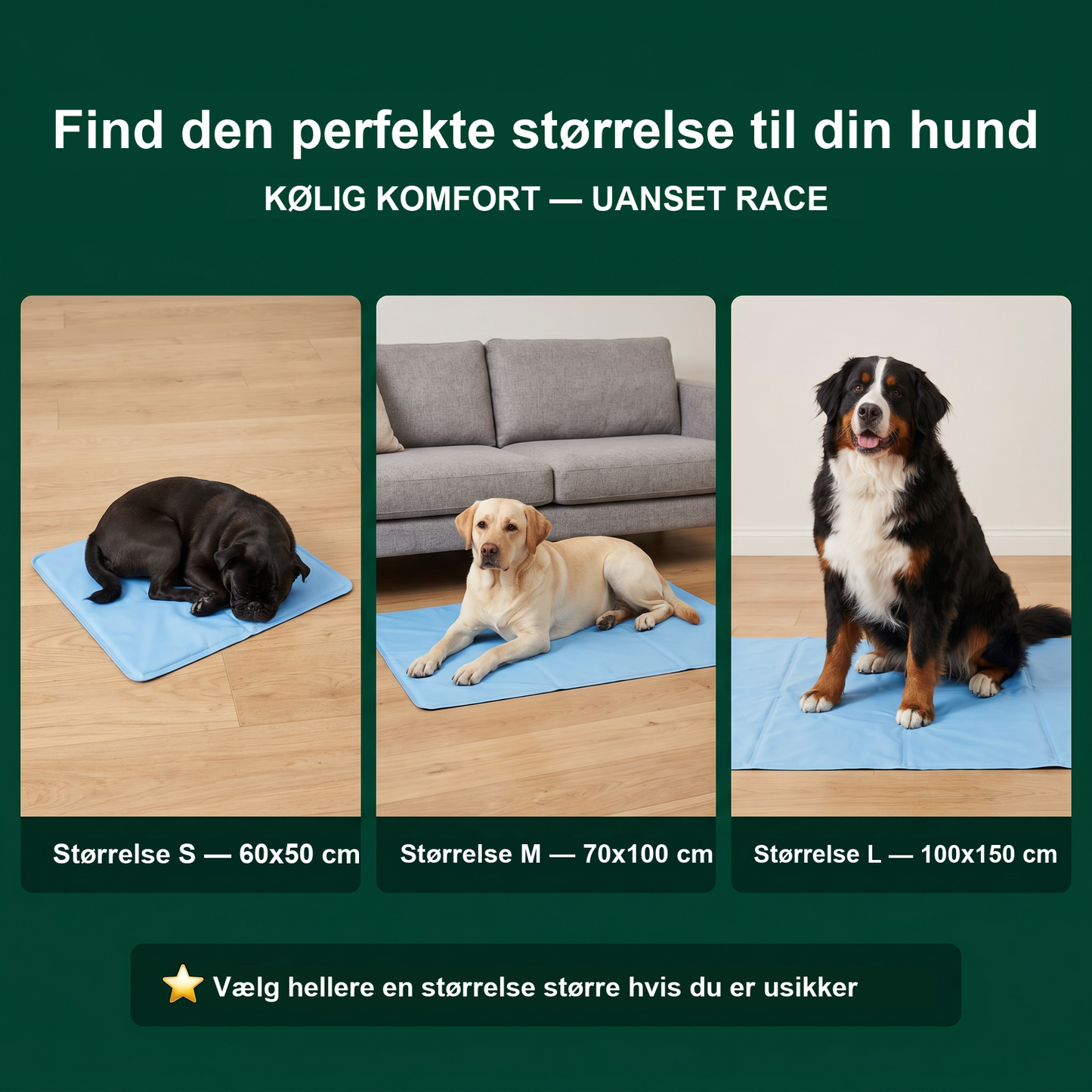 Zvarelo — Kølemåtten der stopper overophedningen af din hund