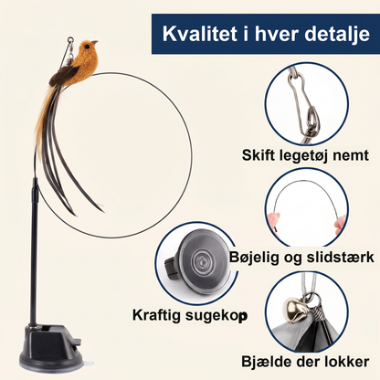 Zvarelo — Automatiske fuglebuen der aktiverer jagtinstinktet og underholder katten i timevis