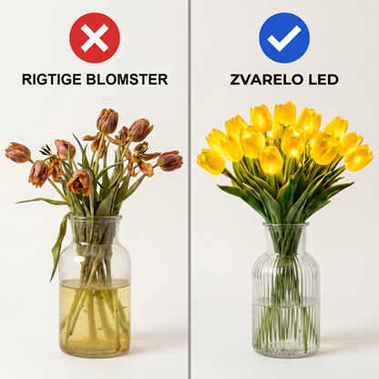 Zvarelo — LED-Tulipanen med varmhvidt skær, der aldrig visner