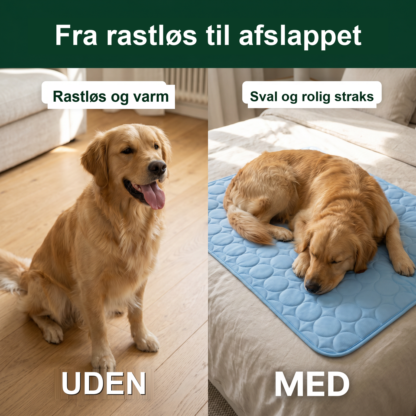 Zvarelo — Kølemåtten der stopper overophedningen af din hund