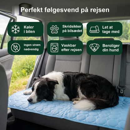 Zvarelo — Kølemåtten der stopper overophedningen af din hund