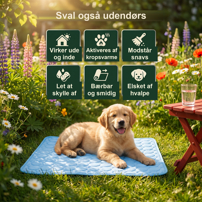 Zvarelo — Kølemåtten der stopper overophedningen af din hund