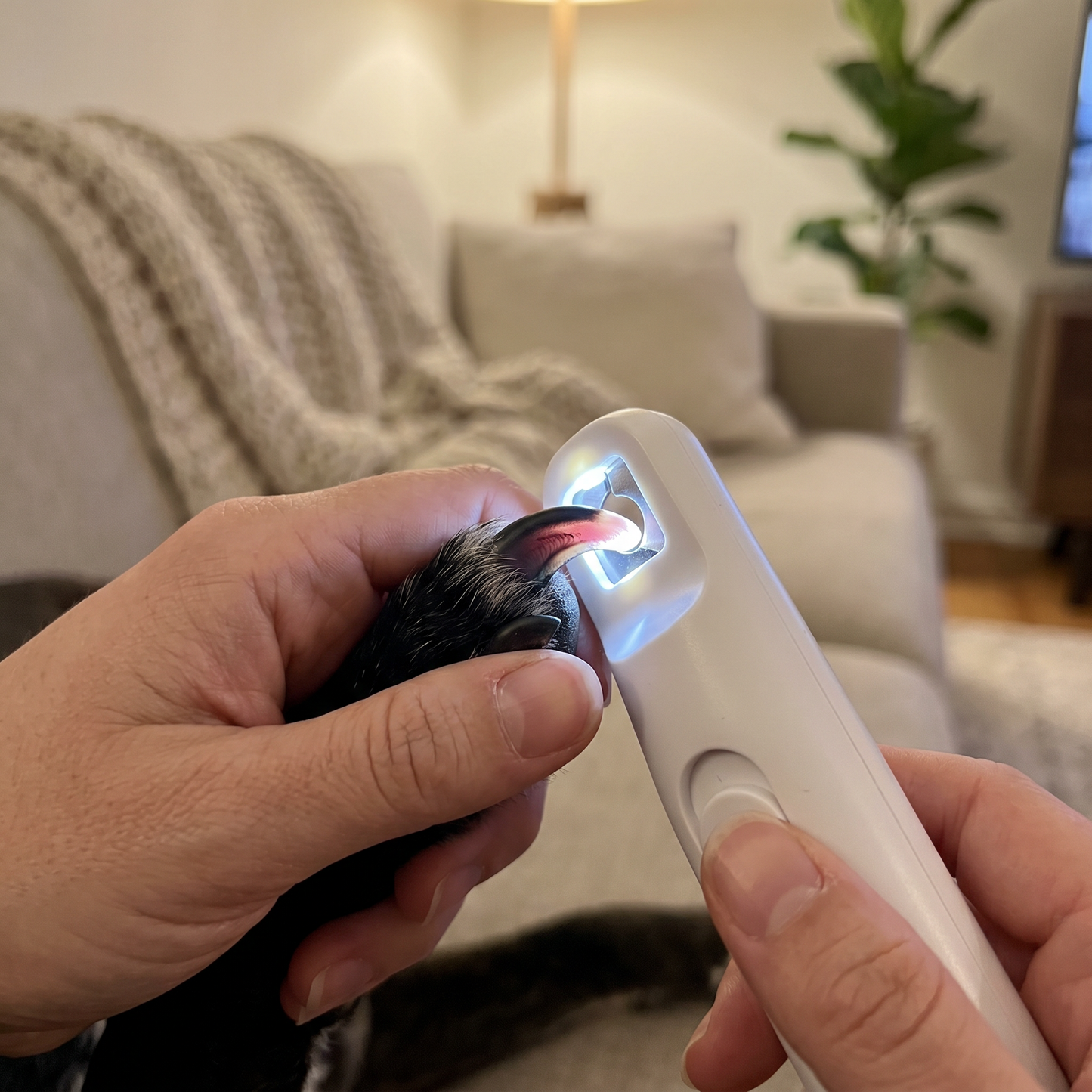 Lifestyle: LED-kloklippare